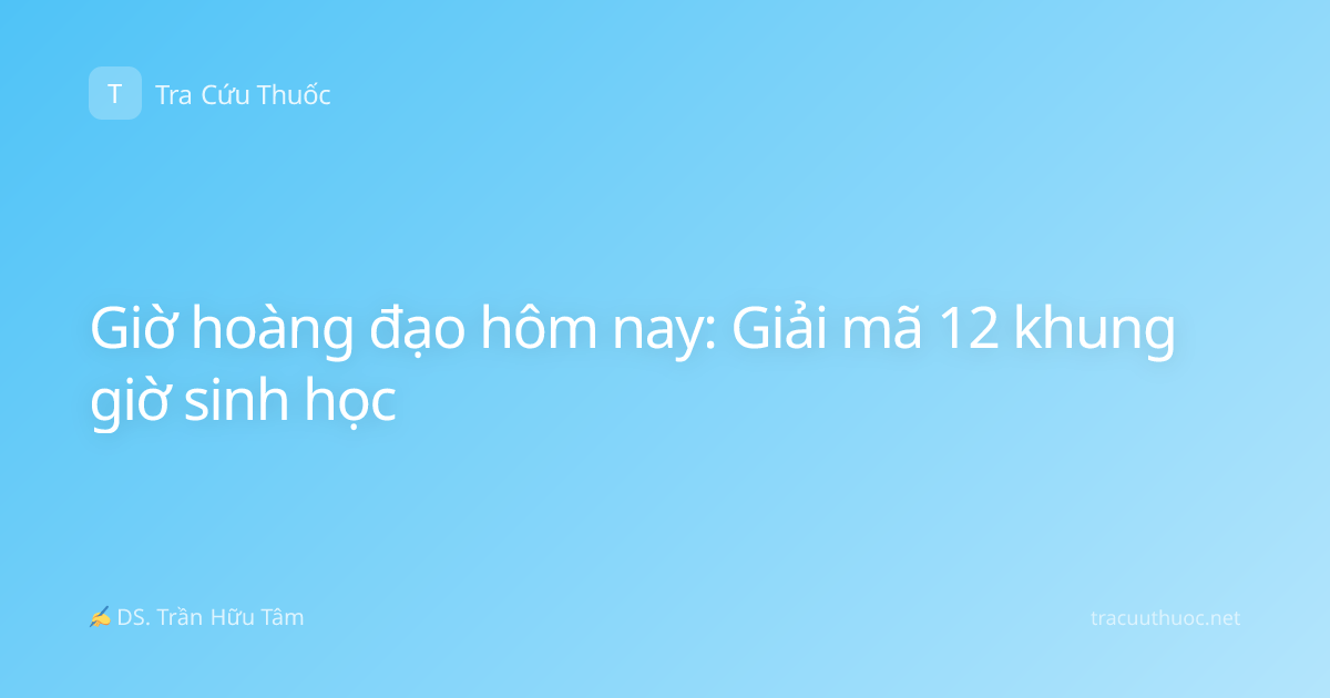 Giờ hoàng đạo hôm nay: Giải mã 12 khung giờ sinh học