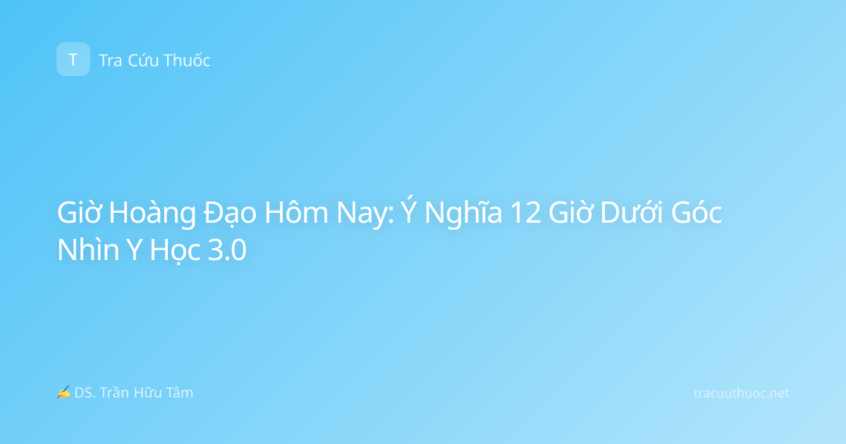 Giờ Hoàng Đạo Hôm Nay: Ý Nghĩa 12 Giờ Dưới Góc Nhìn Y Học 3.0